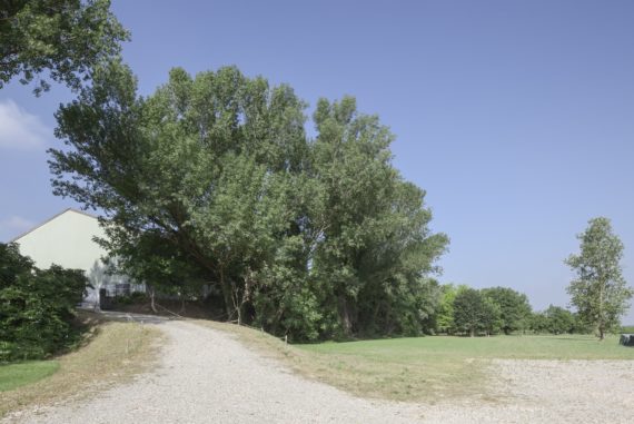 1-cascina-la-goliarda-location-eventi-570x381